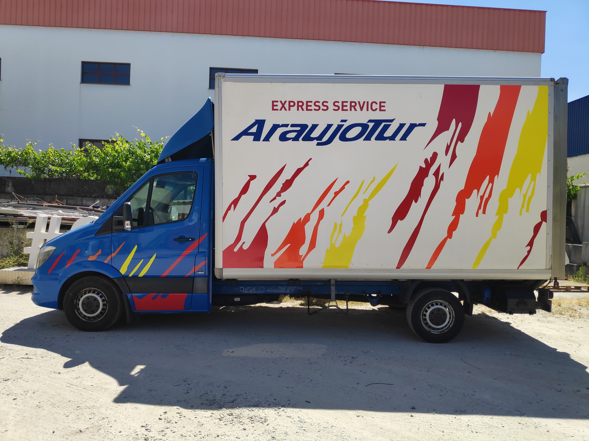 Trabalho de Vinil 12